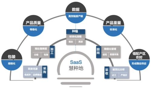 消费食品 永远光明的赛道