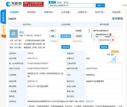 国美在海南斥资1亿成立两家企业管理公司