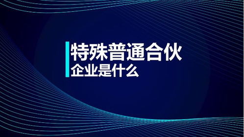 财务管理基本原理 特殊普通合伙企业是什么