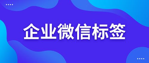 企业微信标签太多了怎么删除 企业微信标签怎么管理