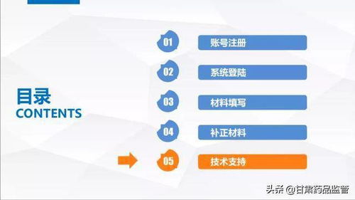 甘肃省药品监督管理局关于 互联网 政务服务 平台 企业端 使用指南