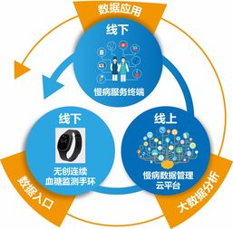 慢病管理平台,企业概况